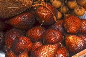 Salak or Snake Fruit is one among the many indigenous fruits in Indonesia.